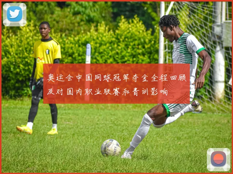 奥运会中国网球冠军夺金全程回顾及对国内职业联赛和青训影响